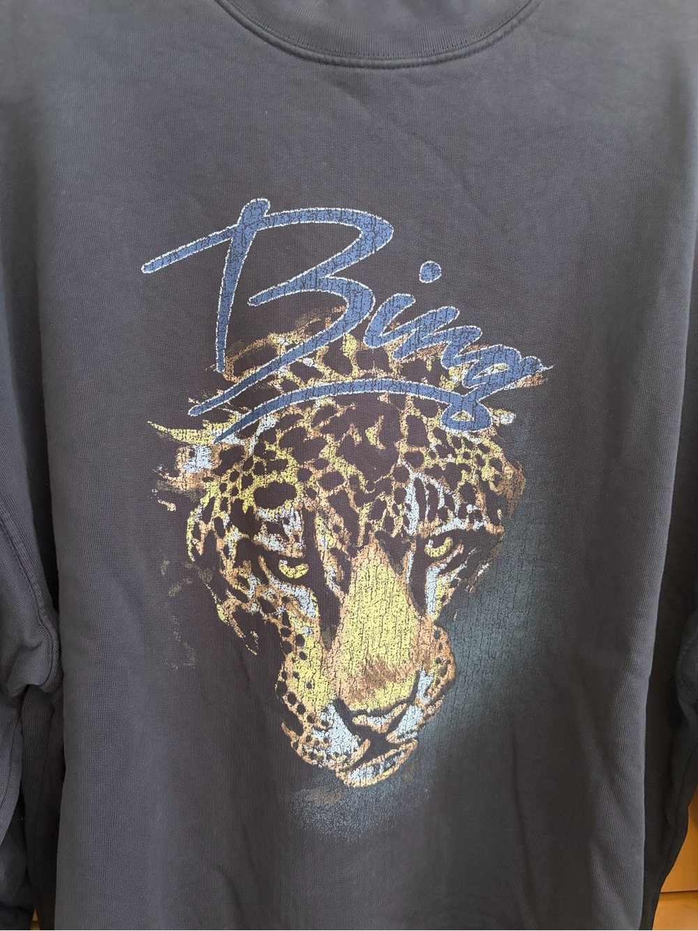 Anine Bing Leopard Graphic crewneck sweatshirt - Picture 2 of 5